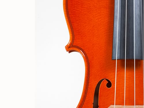 museo violino stradivari cremona foto